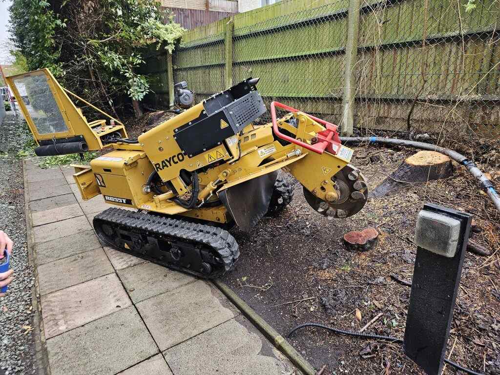 Tree stump removal and grinding services in Surrey