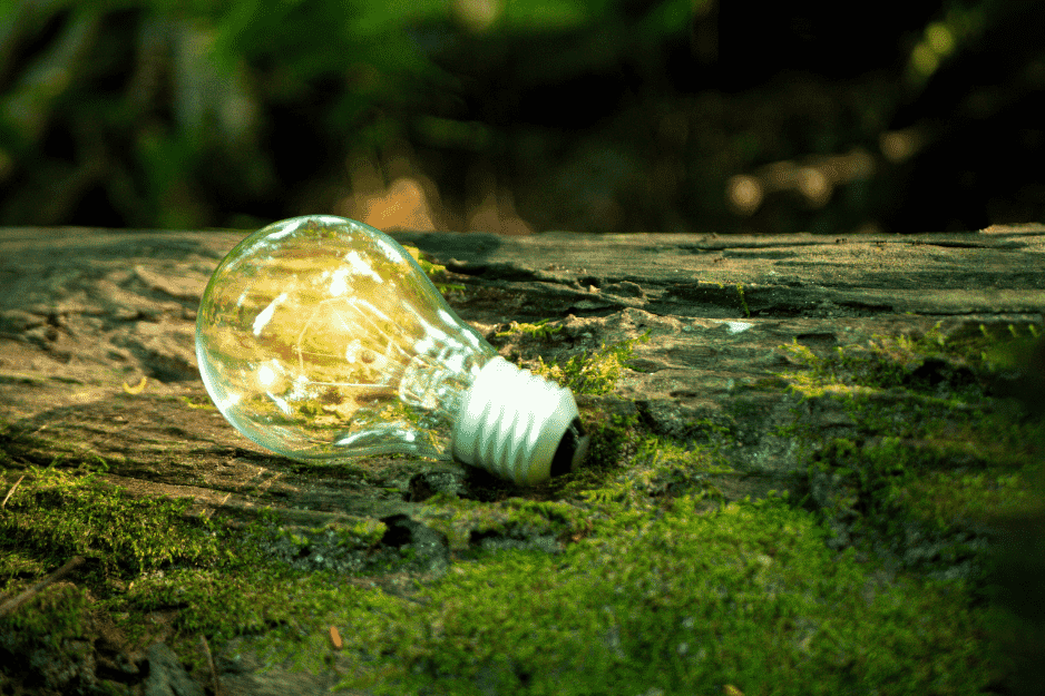 Green promise and sustainability