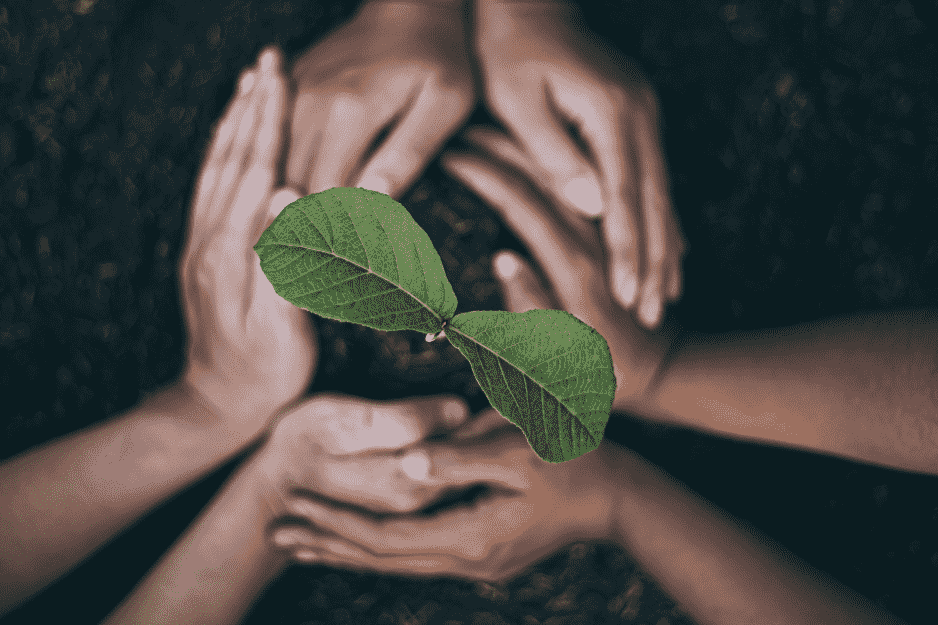 Green Promise - Electric Tools