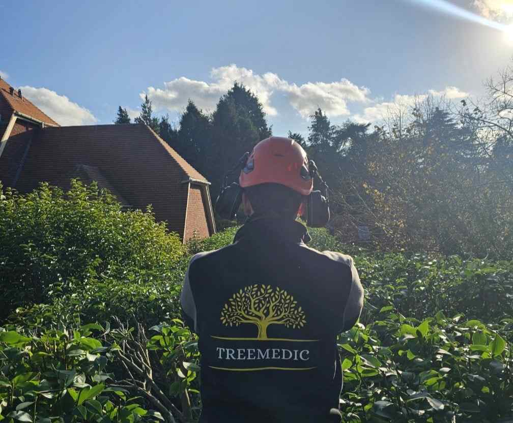 tree surgeon in esher hedge cutting printer prime tshirt with logo