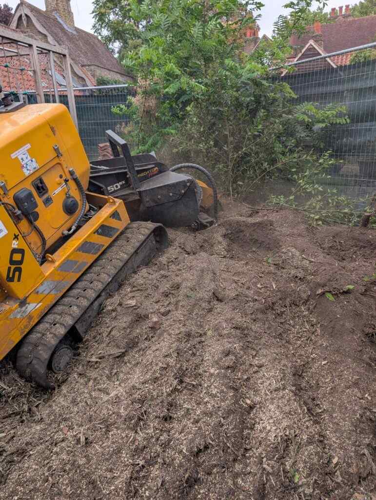Modern stump grinding equipment in action