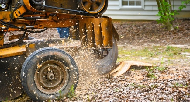Stump Grinding Service