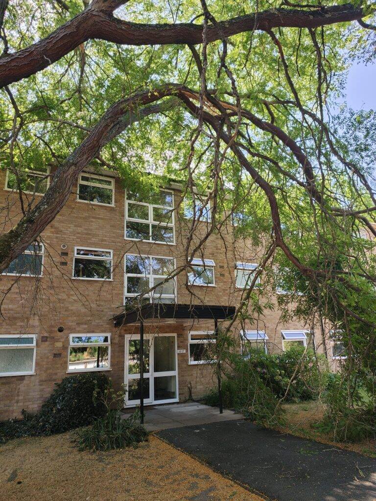 emergency tree service - Weybridge
