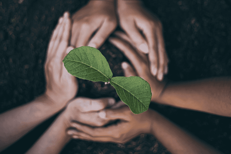 Green Promise - Electric Tools