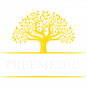 a yellow tree with white text