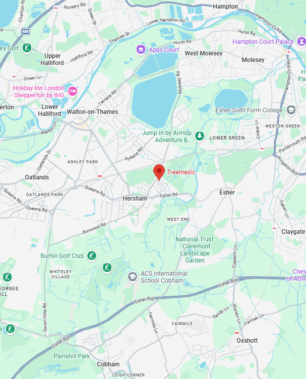 hersham treemedic map