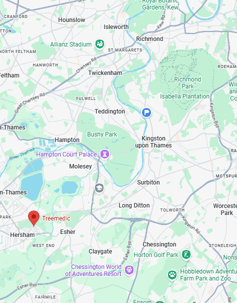 kingston treemedic map