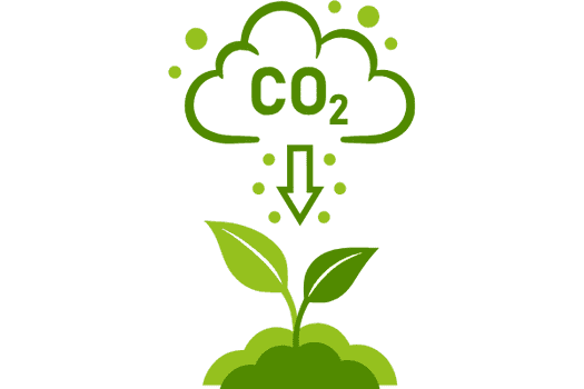 partners with treeapp