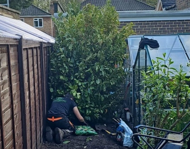 Tree/hedgerow planting service