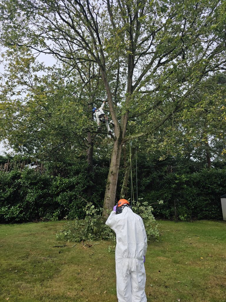 OPM Removal Surrey