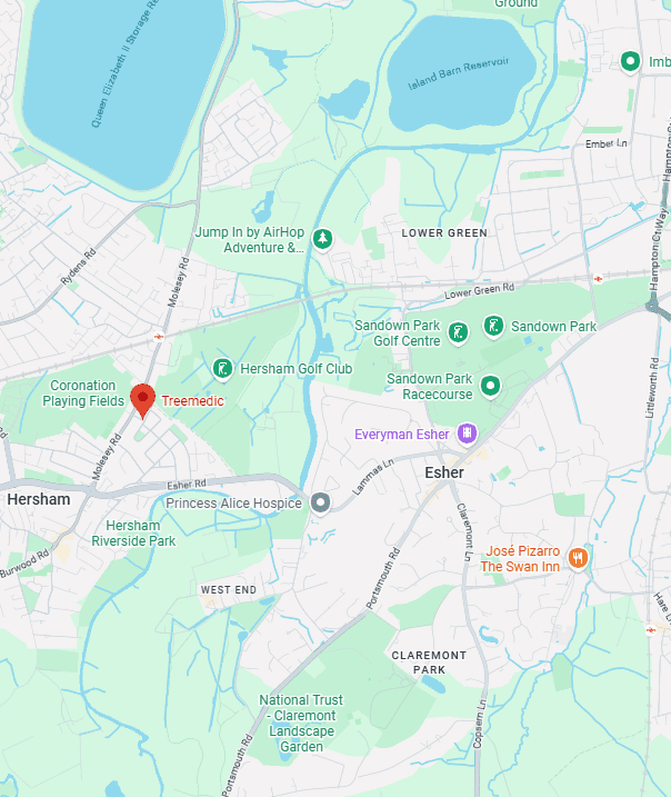 esher treemedic map